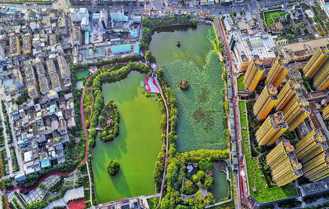 城市“綠肺”蓮湖公園