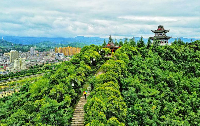 城市氧吧龜山公園
