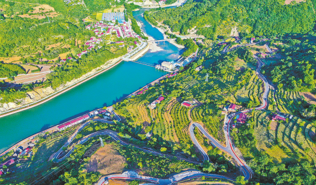 護(hù)好這片綠 換得金山來(lái)