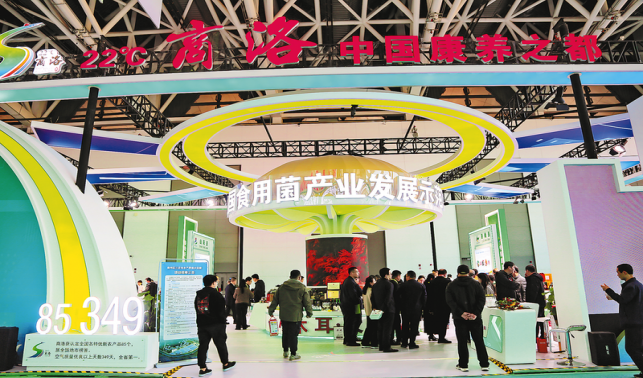 絲路織紐帶 攜手向未來(lái)