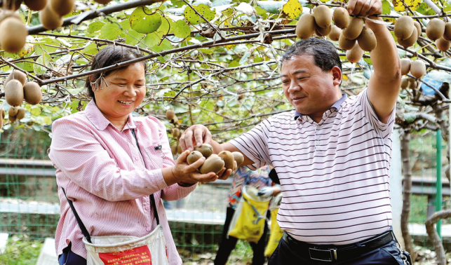 產(chǎn)業(yè)特色鮮明 增收底氣更足