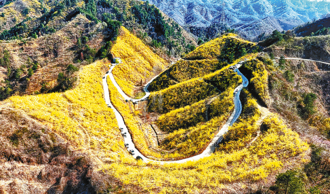 踏春賞花享勝景