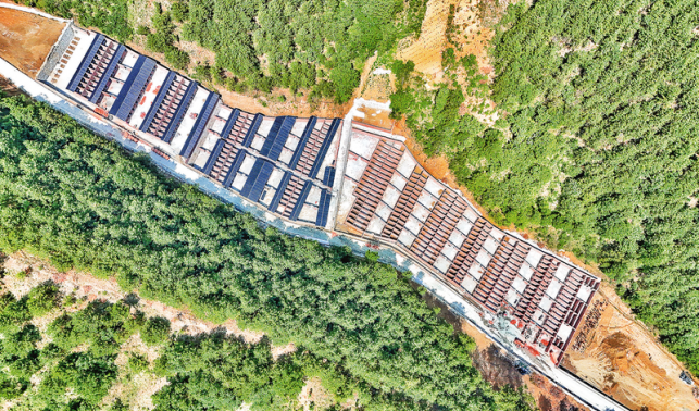 特色產(chǎn)業(yè)興 發(fā)展活力足