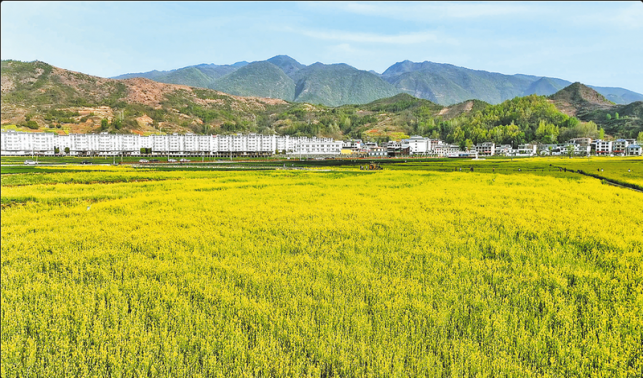 以好氣候撬動(dòng)一座城市發(fā)展