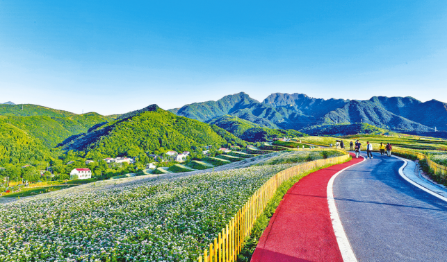 美域藍(lán)田 近在眼前