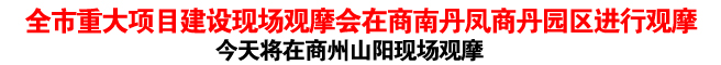 全市重大項(xiàng)目建設(shè)現(xiàn)場(chǎng)觀摩會(huì)在商南丹鳳商丹園區(qū)進(jìn)行觀摩