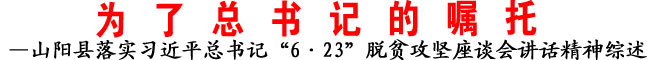 —山陽(yáng)縣落實(shí)習(xí)近平總書記“6·23”脫貧攻堅(jiān)座談會(huì)講話精神綜述