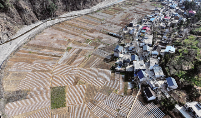 田間地頭春潮涌 干群合力播希望