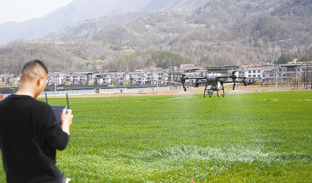 深耕“三服務” 繪就春耕新圖景
