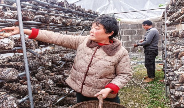 王閻鎮(zhèn) 做強(qiáng)產(chǎn)業(yè)穩(wěn)增收