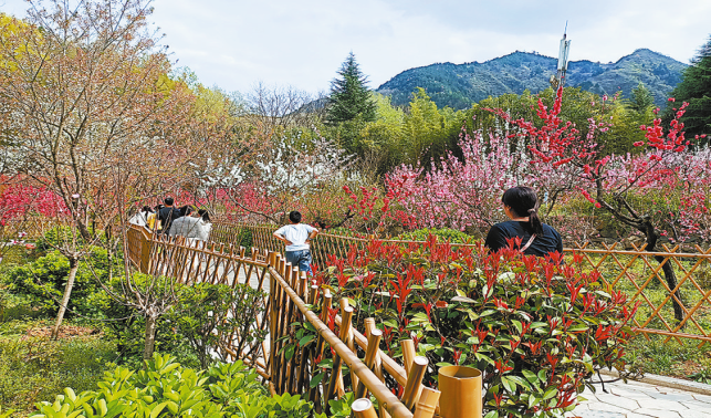 以花為媒撬動“美麗經濟”