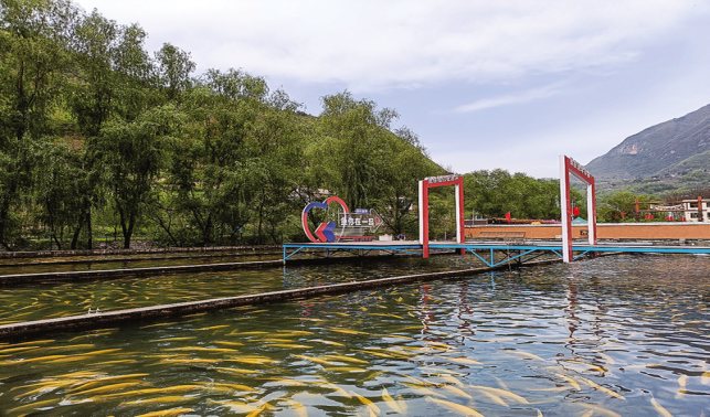 高峰鎮(zhèn) 活水潤山鄉(xiāng) 服務促振興