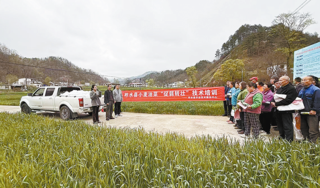 農(nóng)技服務到田間