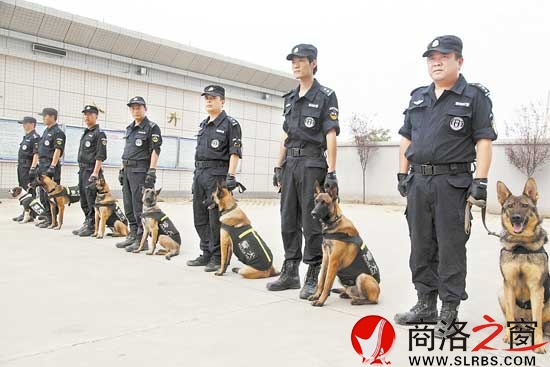 訓(xùn)犬員和他們的&ldquo;戰(zhàn)友&rdquo;隨時準(zhǔn)備出警