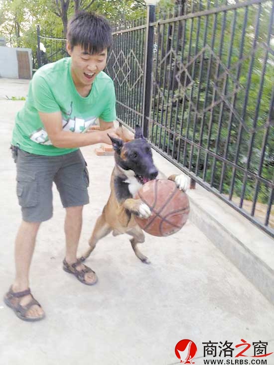 下班之余，柯厲就成了劉磊的玩伴