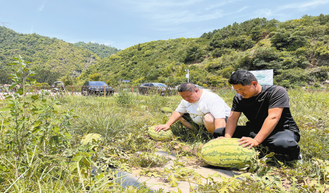 段灣村 農(nóng)文旅融出好光景