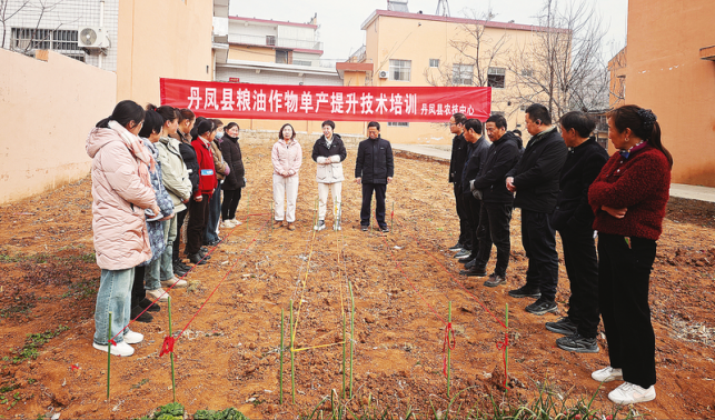 棣花鎮(zhèn)：春耕農(nóng)忙正當(dāng)時(shí)