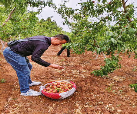 許家塬村 三產(chǎn)融合建設(shè)和美鄉(xiāng)村