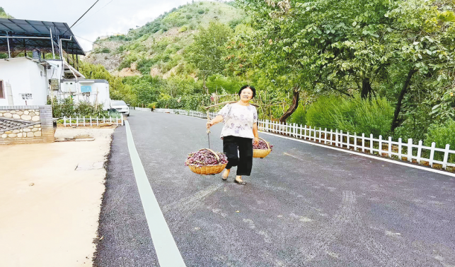 一條柏油路，串起果農(nóng)新生活