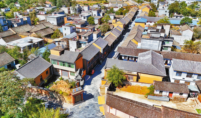 黨建引領 武關煥新