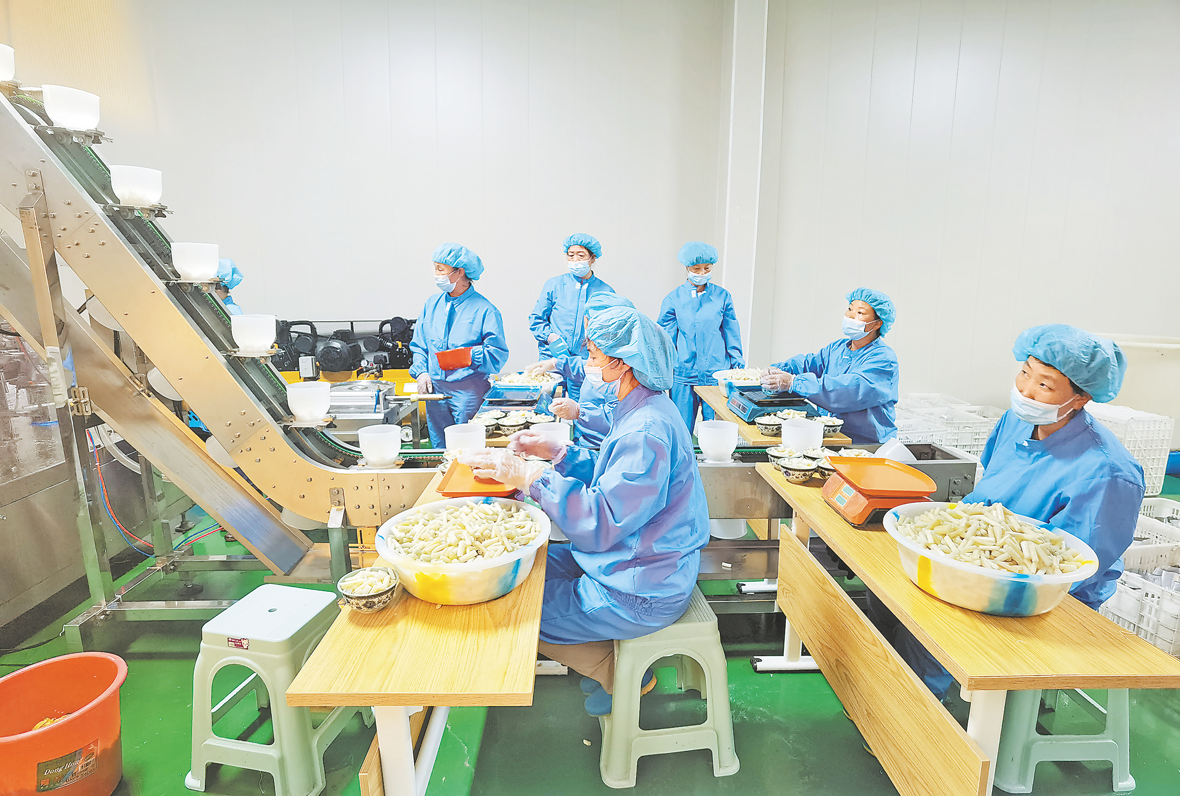 延補蔬菜產(chǎn)業(yè)鏈條 做大做強富民產(chǎn)業(yè)