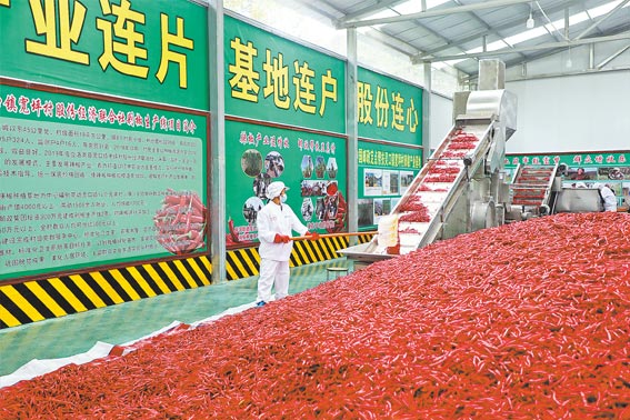 延伸產(chǎn)業(yè)鏈條 促進(jìn)群眾增收