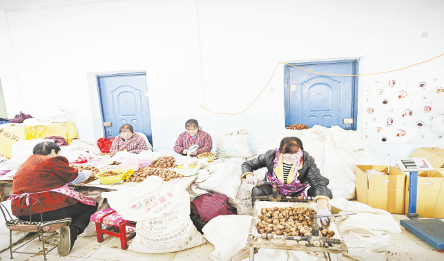 石門鎮(zhèn) 小核桃鼓起群眾腰包