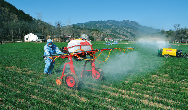 小麥田里管護忙
