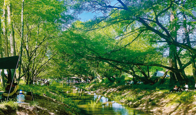 “千萬工程”譜寫和美鄉(xiāng)村建設(shè)新篇章