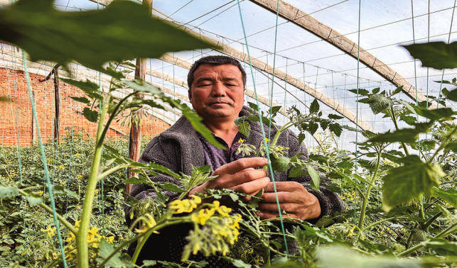 “種出高品質(zhì)的水果和蔬菜”