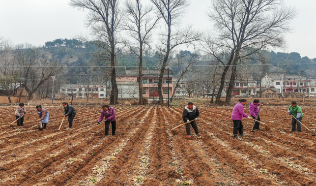春耕備耕忙 不負(fù)好時(shí)光