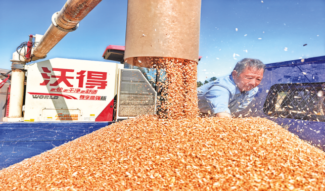 青春在田野綻放