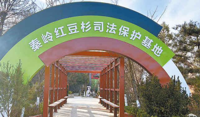 讓法治之花在漢字故里綻放