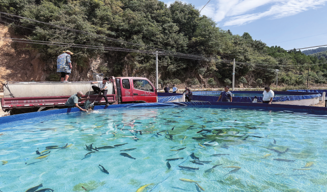 冷水魚(yú)養(yǎng)殖，荒草灘變身“聚寶盆”