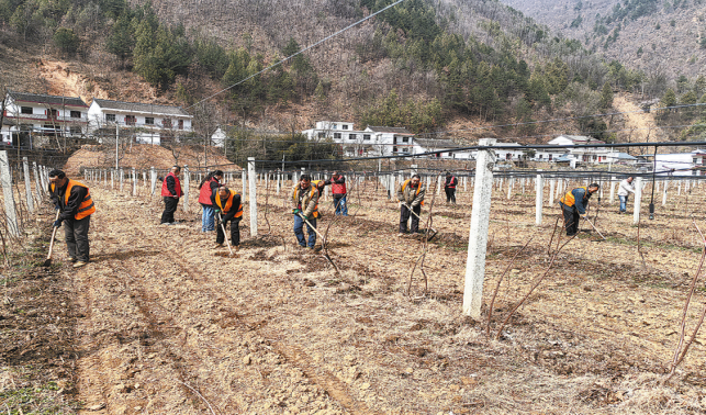 不誤農(nóng)時(shí)不負(fù)春 駐村幫扶助春耕