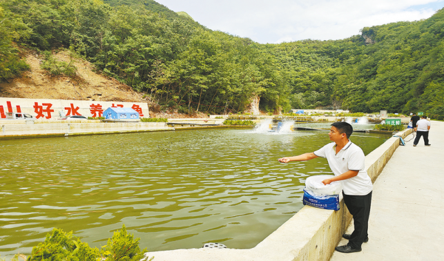 兩岔河村冷水魚養(yǎng)成記
