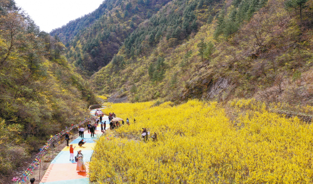 有顏值更有價(jià)值