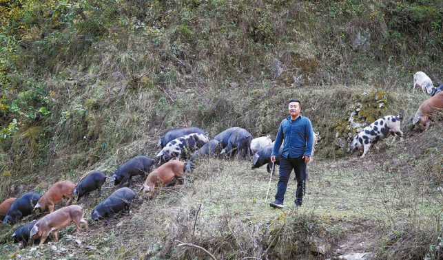 生態(tài)放養(yǎng) 逐夢家園
