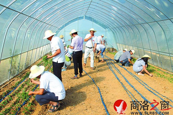 干佑街道辦事處黨員在脫貧攻堅(jiān)主戰(zhàn)場(chǎng)踐行兩學(xué)一做