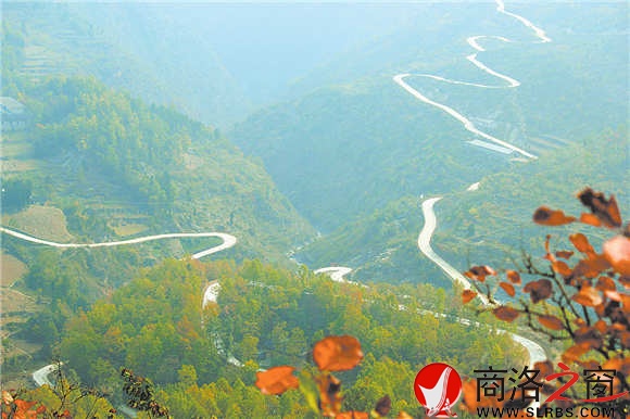 通往姬家河的鄉(xiāng)村公路蜿蜒在綠海中，行走其中，就是一種享受。