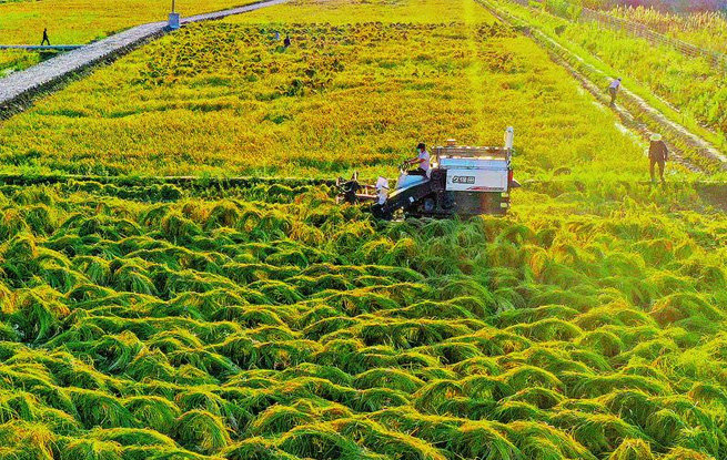 種養(yǎng)結(jié)合 循環(huán)發(fā)展