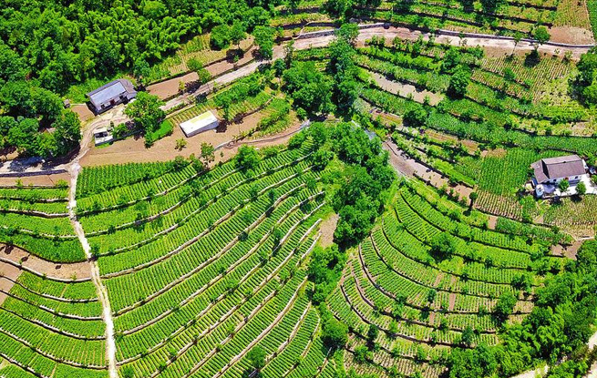 中國(guó)康養(yǎng)旅游強(qiáng)縣 中國(guó)康養(yǎng)宜居?？h