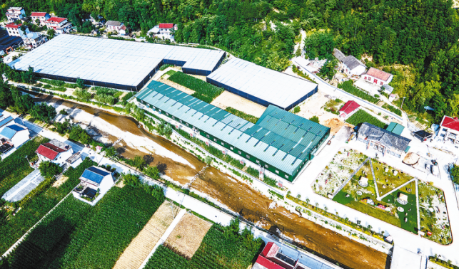 “一盤(pán)棋”布局壯大村集體經(jīng)濟(jì)