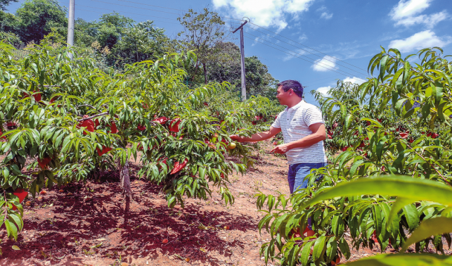 雙龍村 種養(yǎng)結(jié)合開(kāi)辟致富新路徑