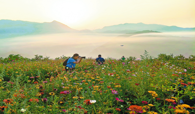 初秋的鎮(zhèn)安縣海棠山