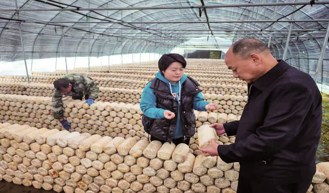 “努力做好產(chǎn)業(yè)升級，帶動更多群眾增收”