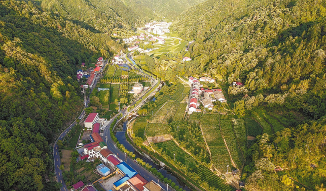 坪勝村 文明風(fēng)起滿目新