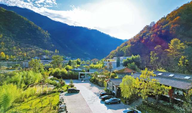 擔(dān)當(dāng)實(shí)干 勇毅篤行創(chuàng)佳績